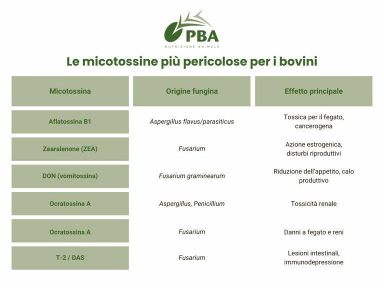 tabella micotossine più pericolose per i bovini