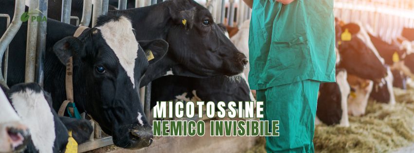 mitossine