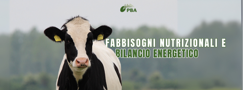 NUTRIZIONE VACCHE DA LATTE