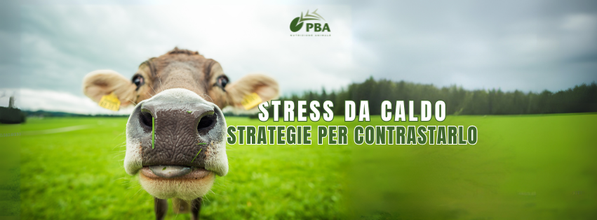 Stress da caldo nelle vacche da latte
