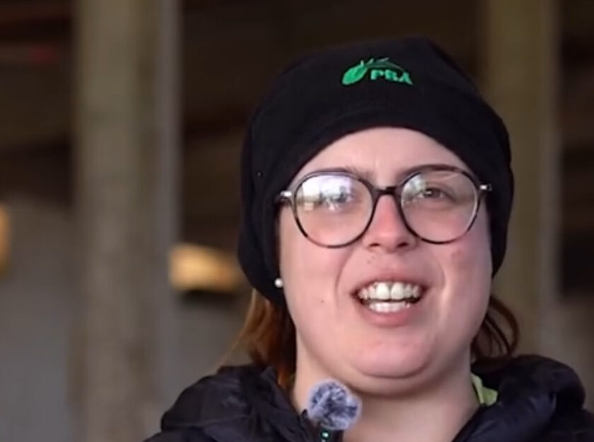 F. D.M - Responsabile Vitellaia