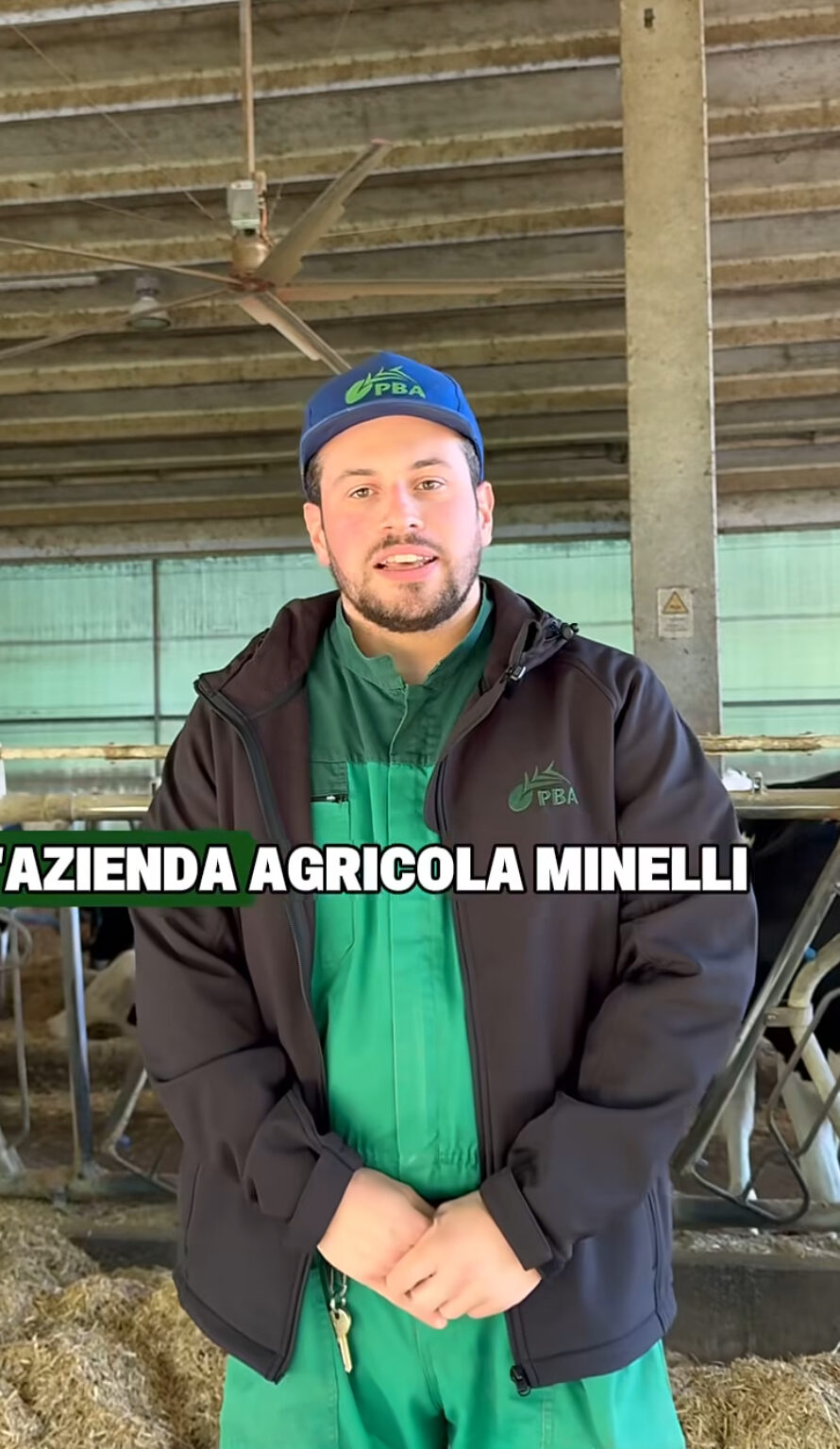 L.M. - Allevatore Vacche da latte